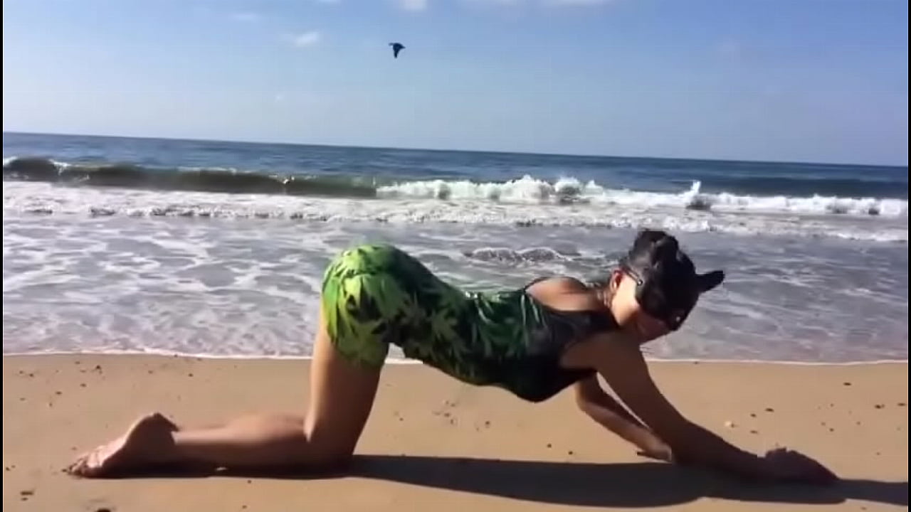 Paseo relajante de una gatita en la playa